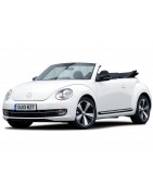 New beetle
