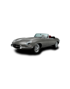 E-type