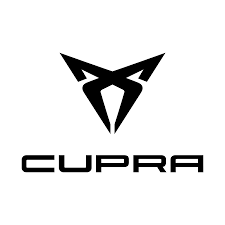 Collection image for: Cupra Bumperbescherming