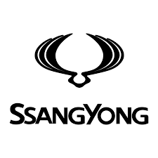 Collection image for: Ssangyong Bumperbescherming